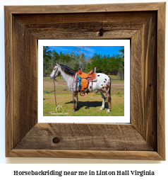 horseback riding near me in Linton Hall, Virginia